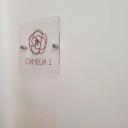 Camelia 12 Apartments Leverano Exterior photo