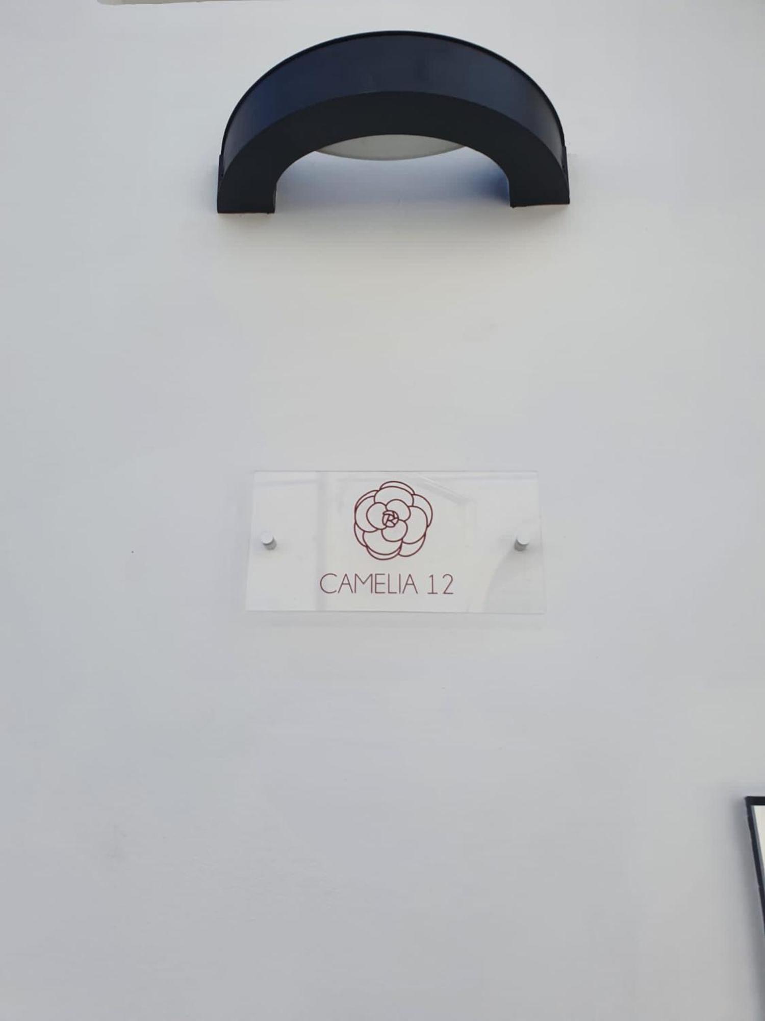 Apartment Camelia 12 *
